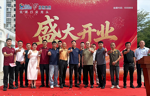 远东电缆三亚专卖店盛大开业